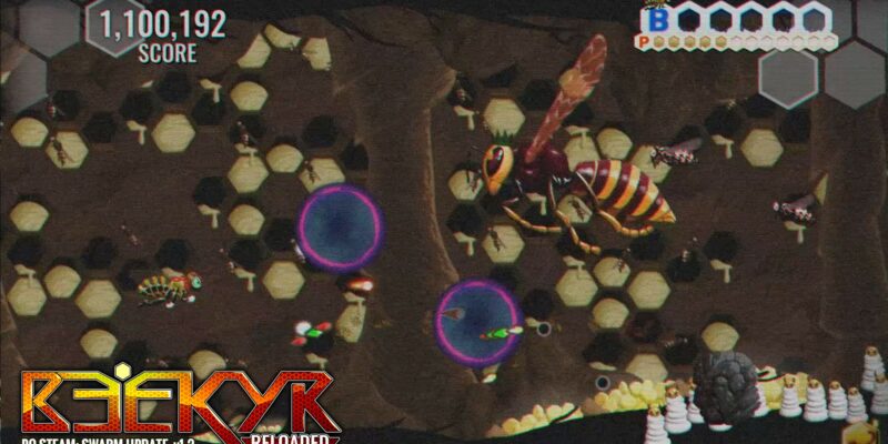 Beekyr Reloaded - PC Game Screenshot