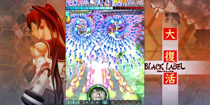 DoDonPachi Resurrection - PC Game Screenshot