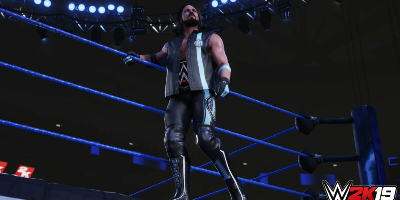WWE 2K19 - PC Game Screenshot